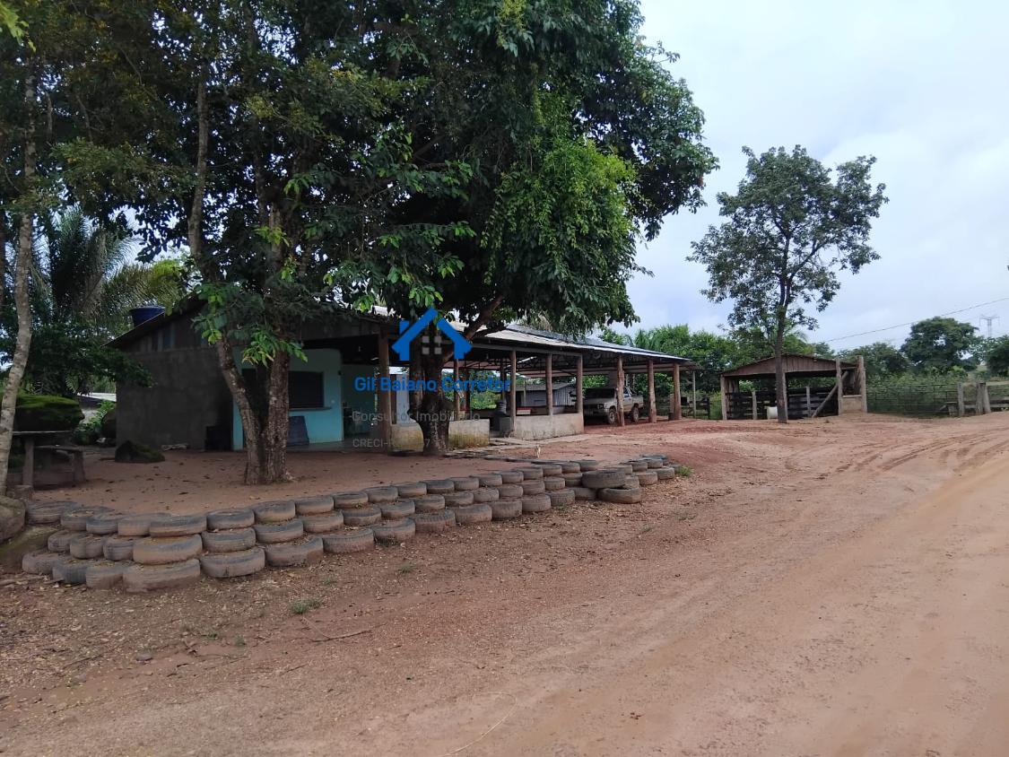 Fazenda à venda com 1 quarto - Foto 9