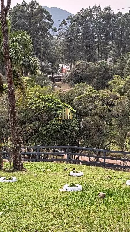 Sítio à venda com 4 quartos, 38000m² - Foto 9