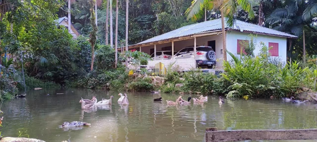 Sítio à venda com 4 quartos, 38000m² - Foto 15
