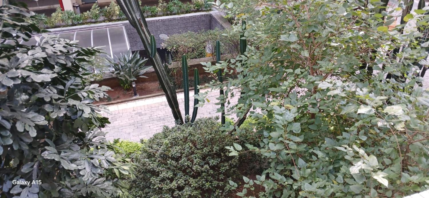 Apartamento, 3 quartos - Foto 13