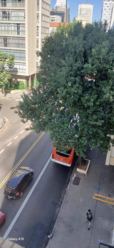 Apartamento, 3 quartos - Foto 12