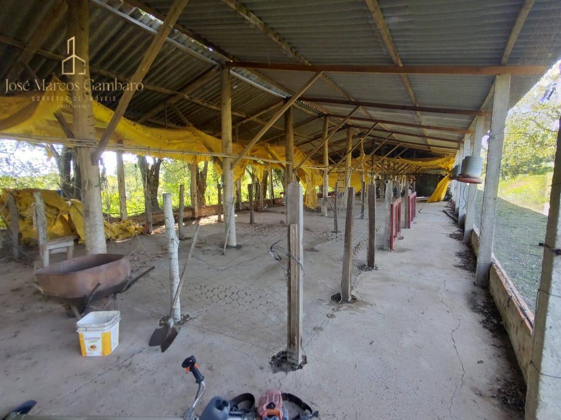 Sítio à venda com 3 quartos, 169000m² - Foto 4