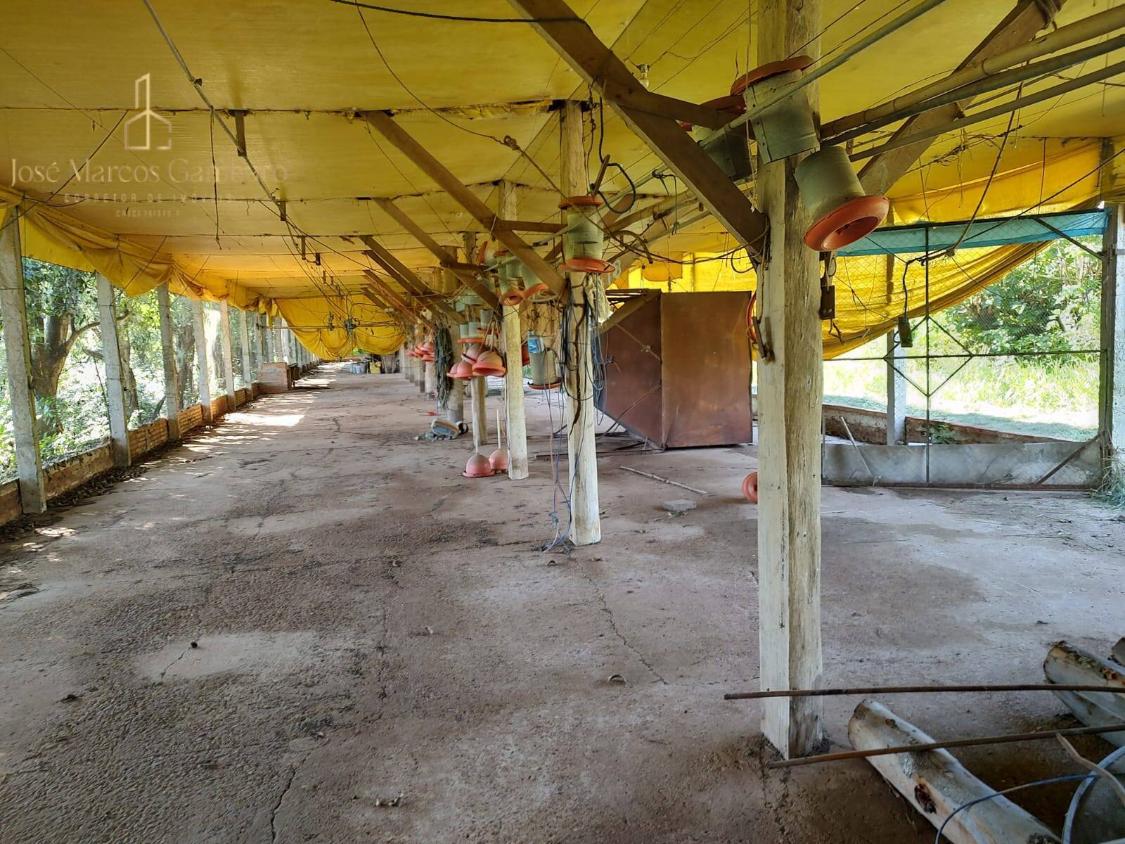 Sítio à venda com 3 quartos, 169000m² - Foto 5