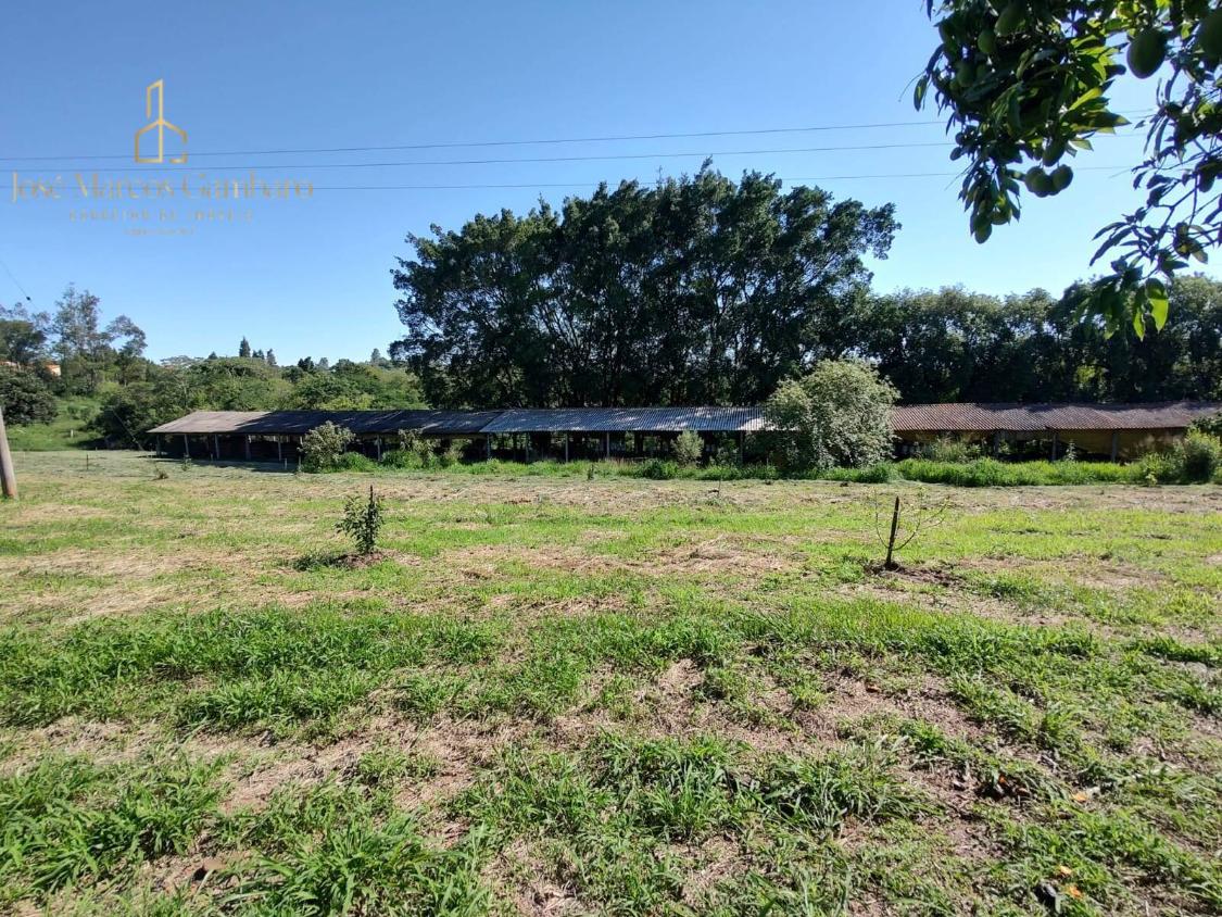 Sítio à venda com 3 quartos, 169000m² - Foto 8
