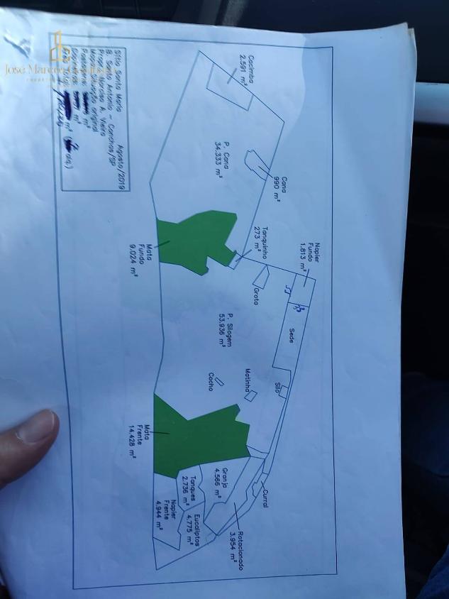 Sítio à venda com 3 quartos, 169000m² - Foto 10