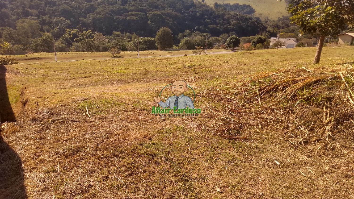 Terreno à venda, 1000m² - Foto 2