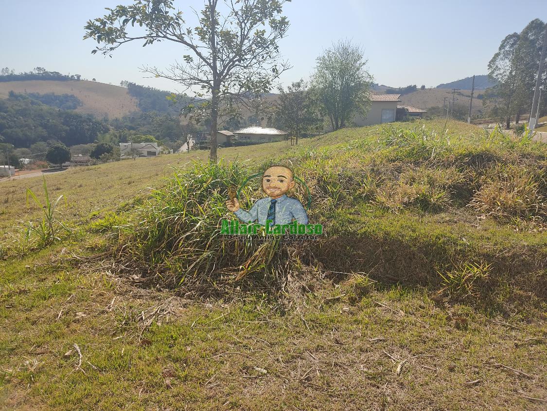 Terreno à venda, 1000m² - Foto 8