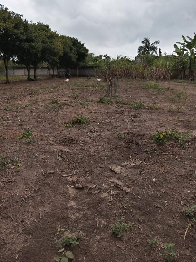 Terreno, 1100 m² - Foto 6