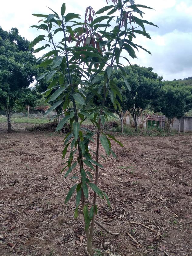 Terreno, 1100 m² - Foto 7