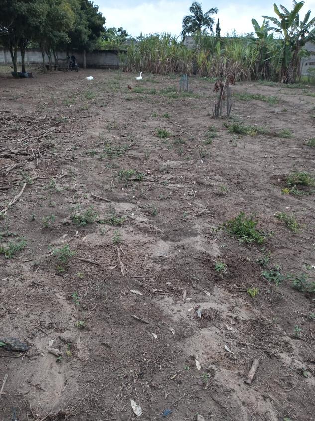 Terreno, 1100 m² - Foto 8