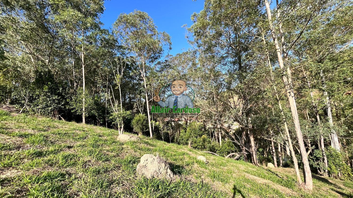 Terreno à venda, 8000m² - Foto 12
