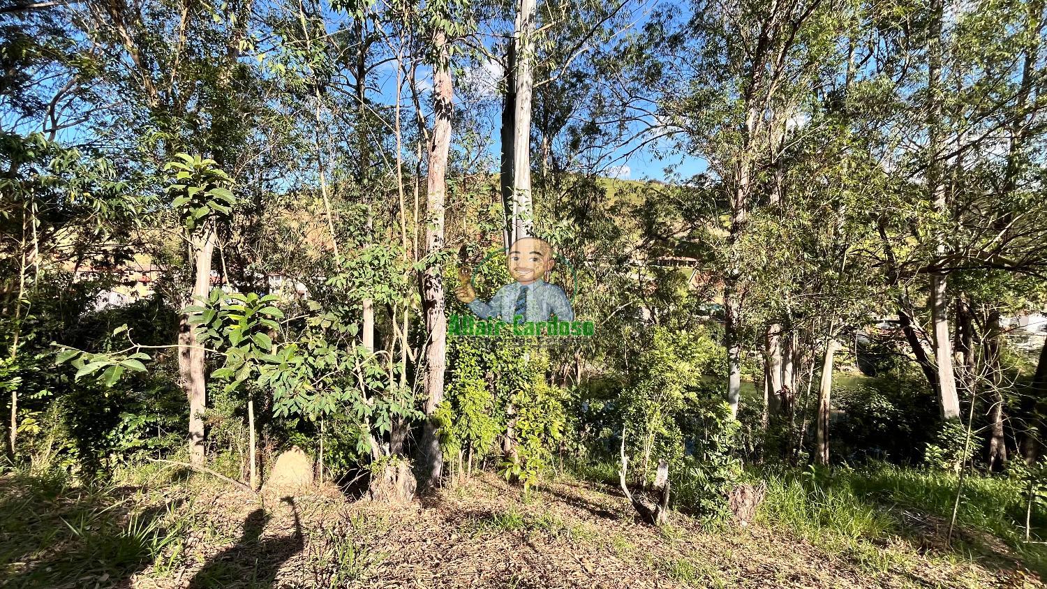 Terreno à venda, 8000m² - Foto 16