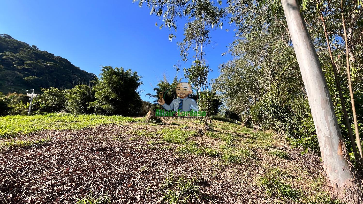 Terreno à venda, 8000m² - Foto 18