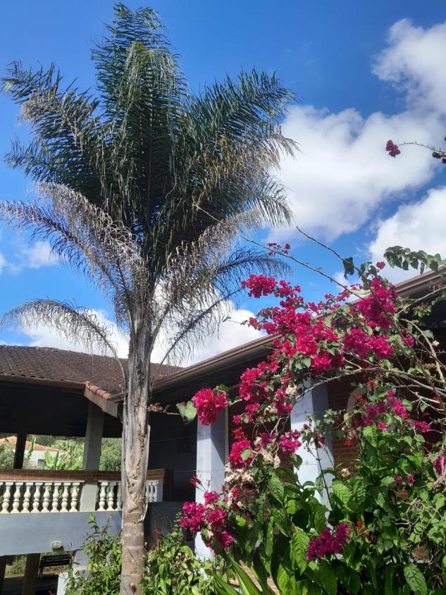 Chácara à venda com 3 quartos, 900m² - Foto 3