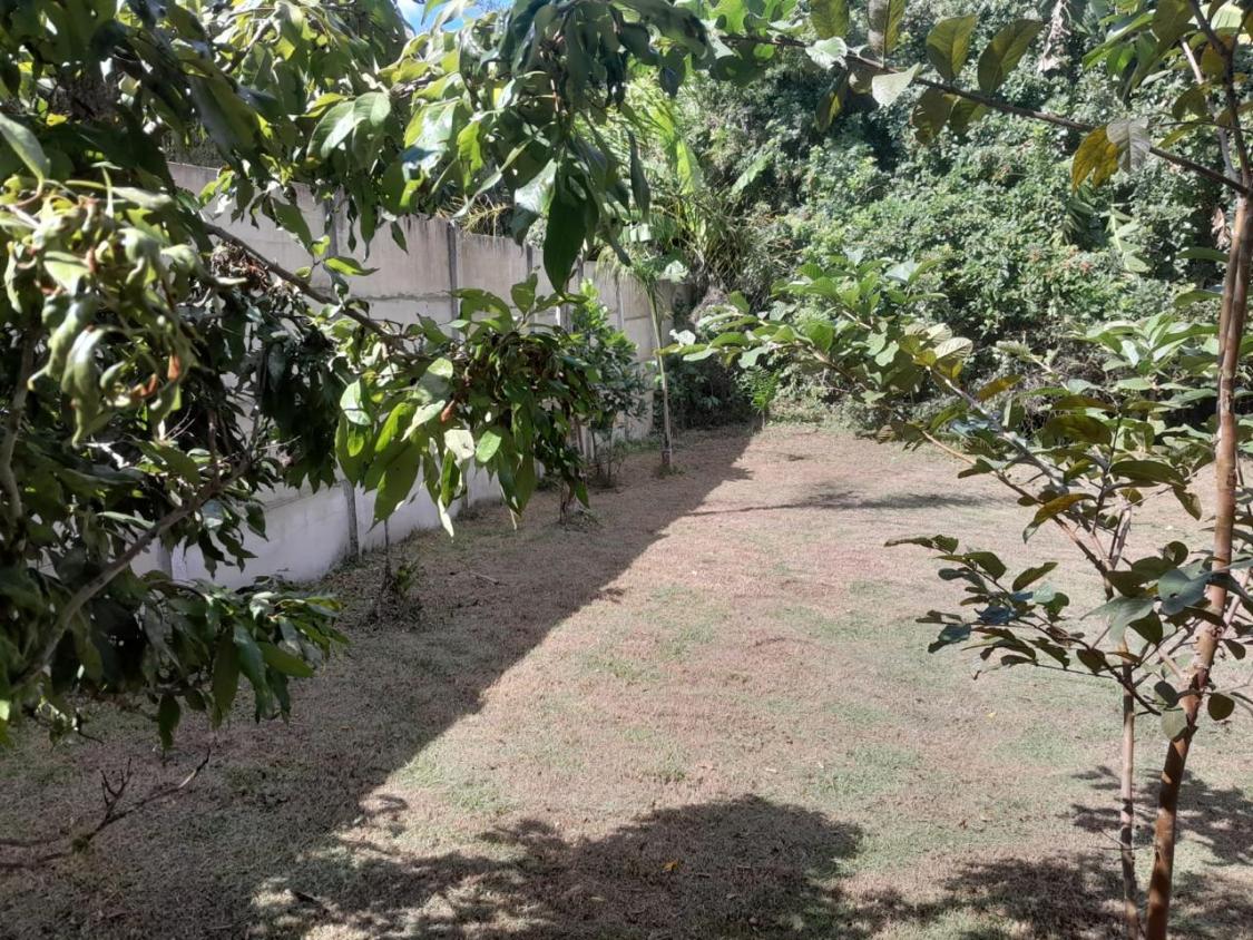 Chácara à venda com 3 quartos, 900m² - Foto 21