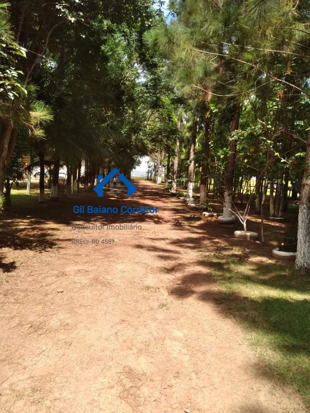 Chácara, 2 quartos, 4000 m² - Foto 1