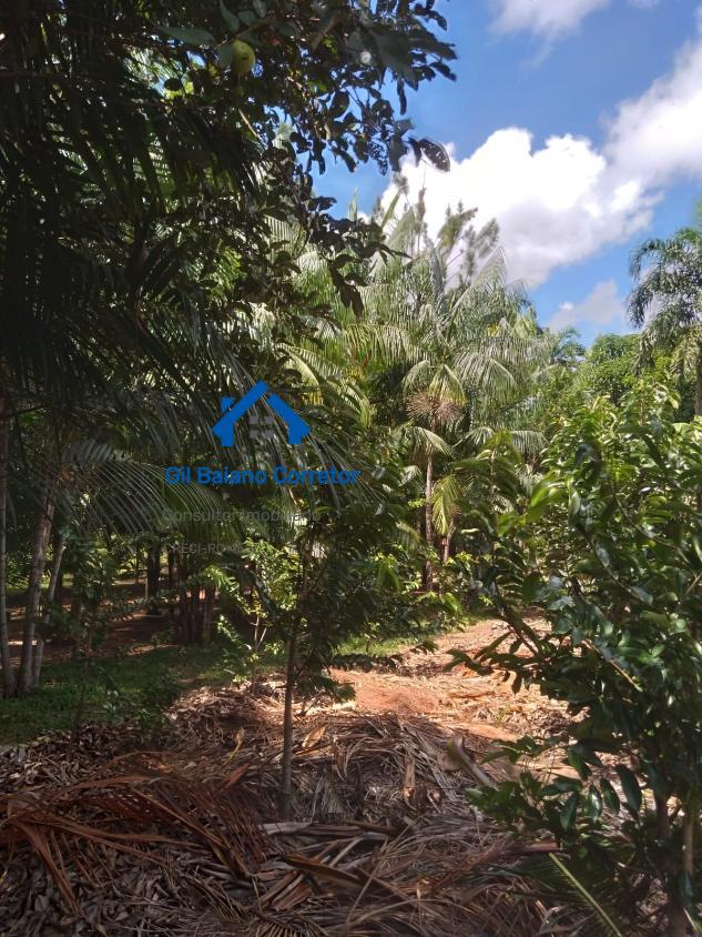 Chácara, 2 quartos, 4000 m² - Foto 3