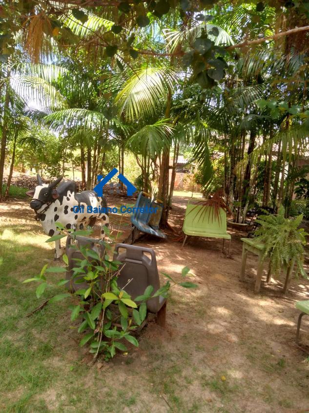 Chácara, 2 quartos, 4000 m² - Foto 6