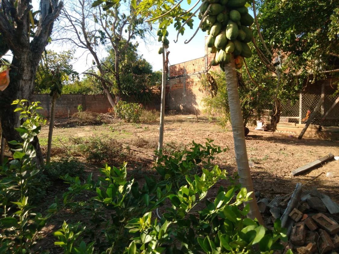 Casa, 4 quartos - Foto 6