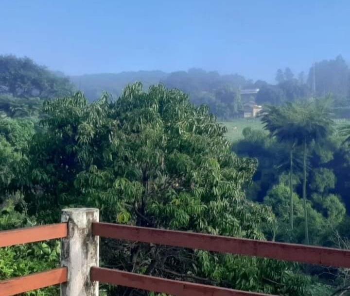 Chácara, 4 quartos - Foto 12