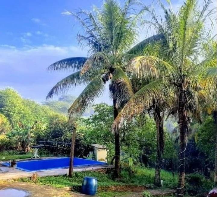 Chácara, 4 quartos - Foto 14