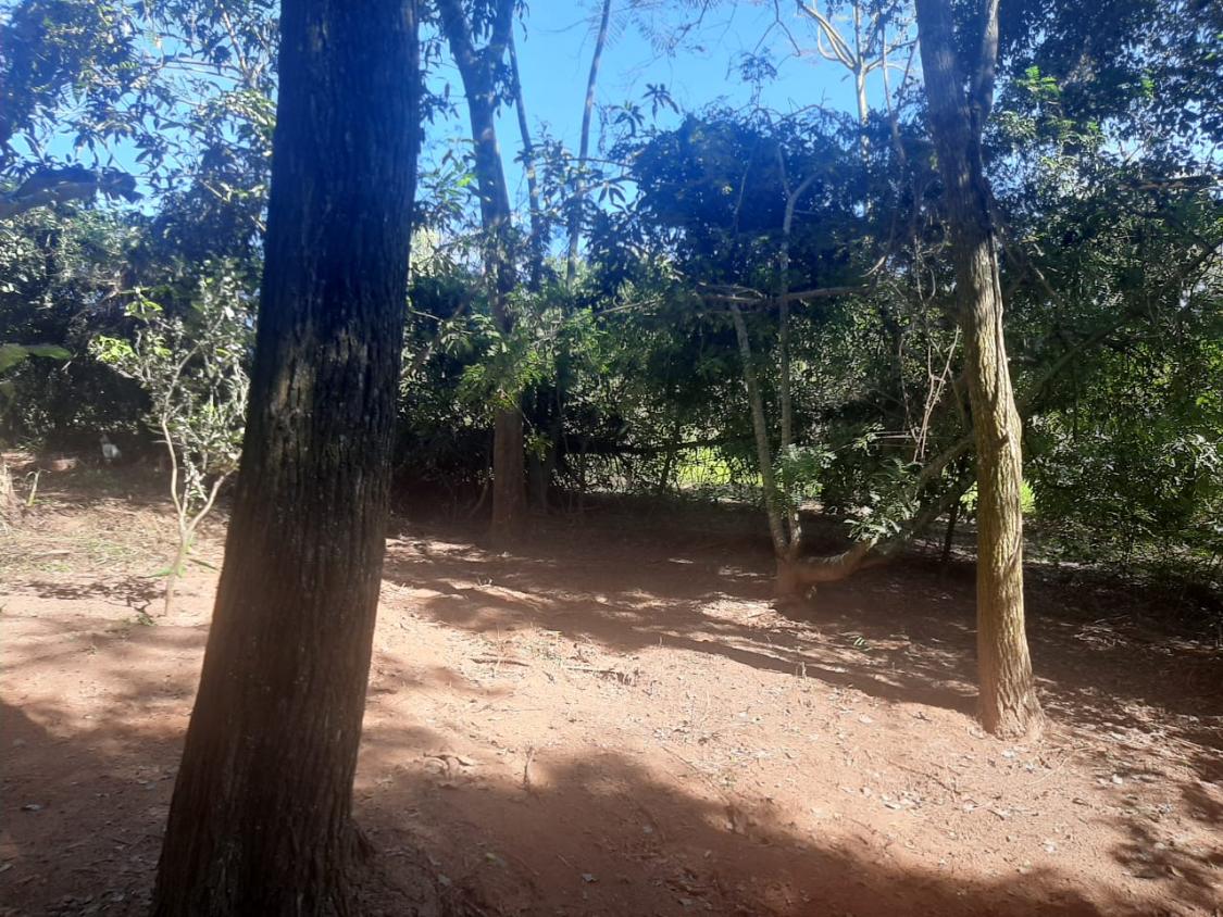 Chácara, 4 quartos - Foto 21