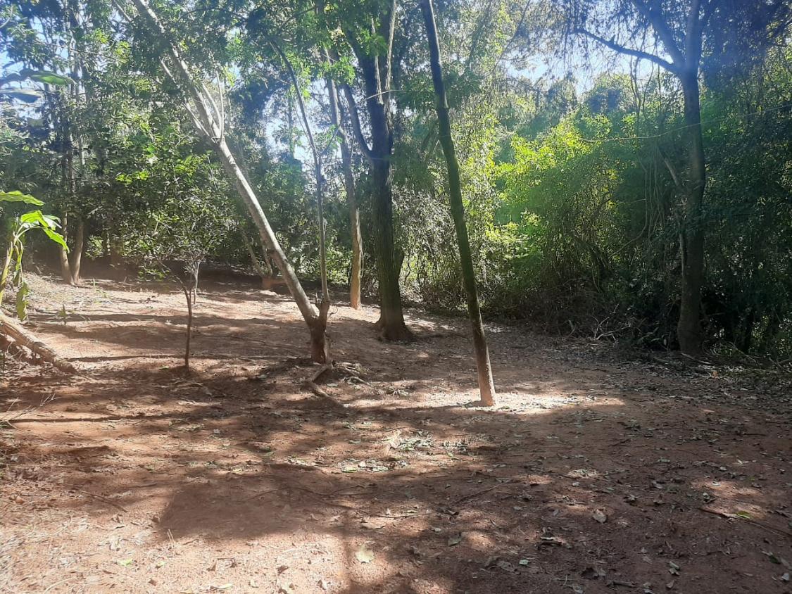 Chácara, 4 quartos - Foto 22