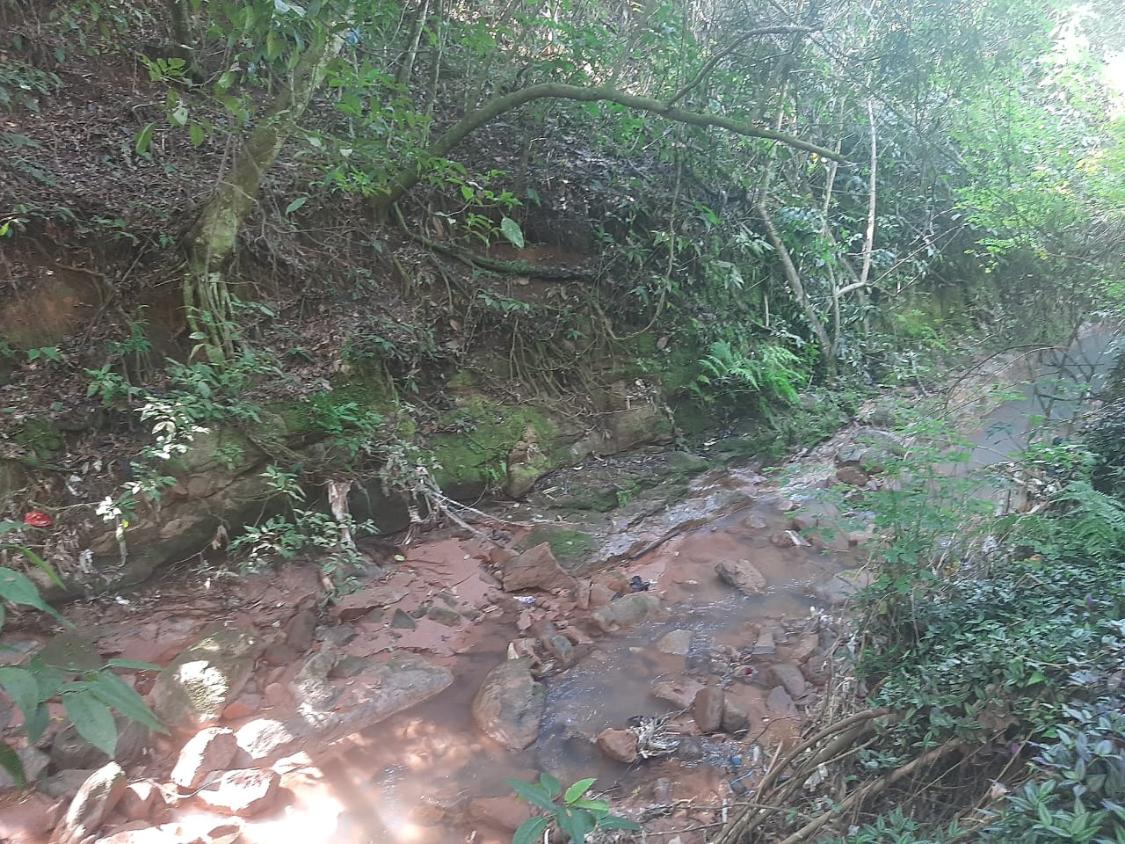 Chácara, 4 quartos - Foto 23