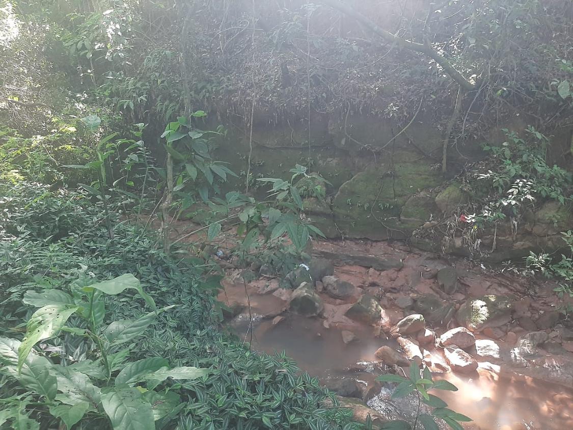 Chácara, 4 quartos - Foto 26