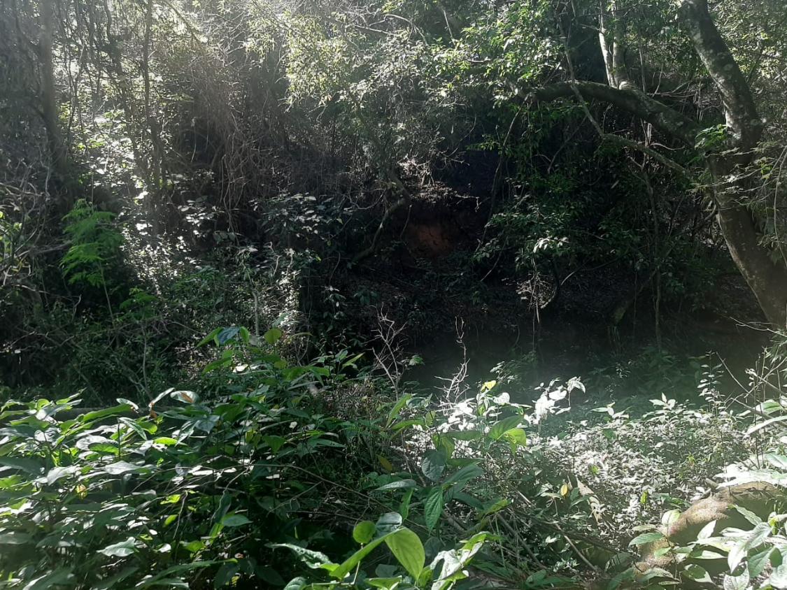 Chácara, 4 quartos - Foto 28