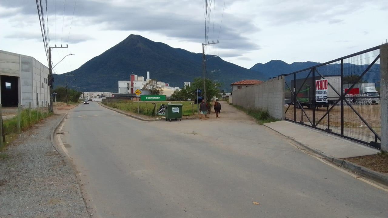 Terreno à venda, 4828m² - Foto 8