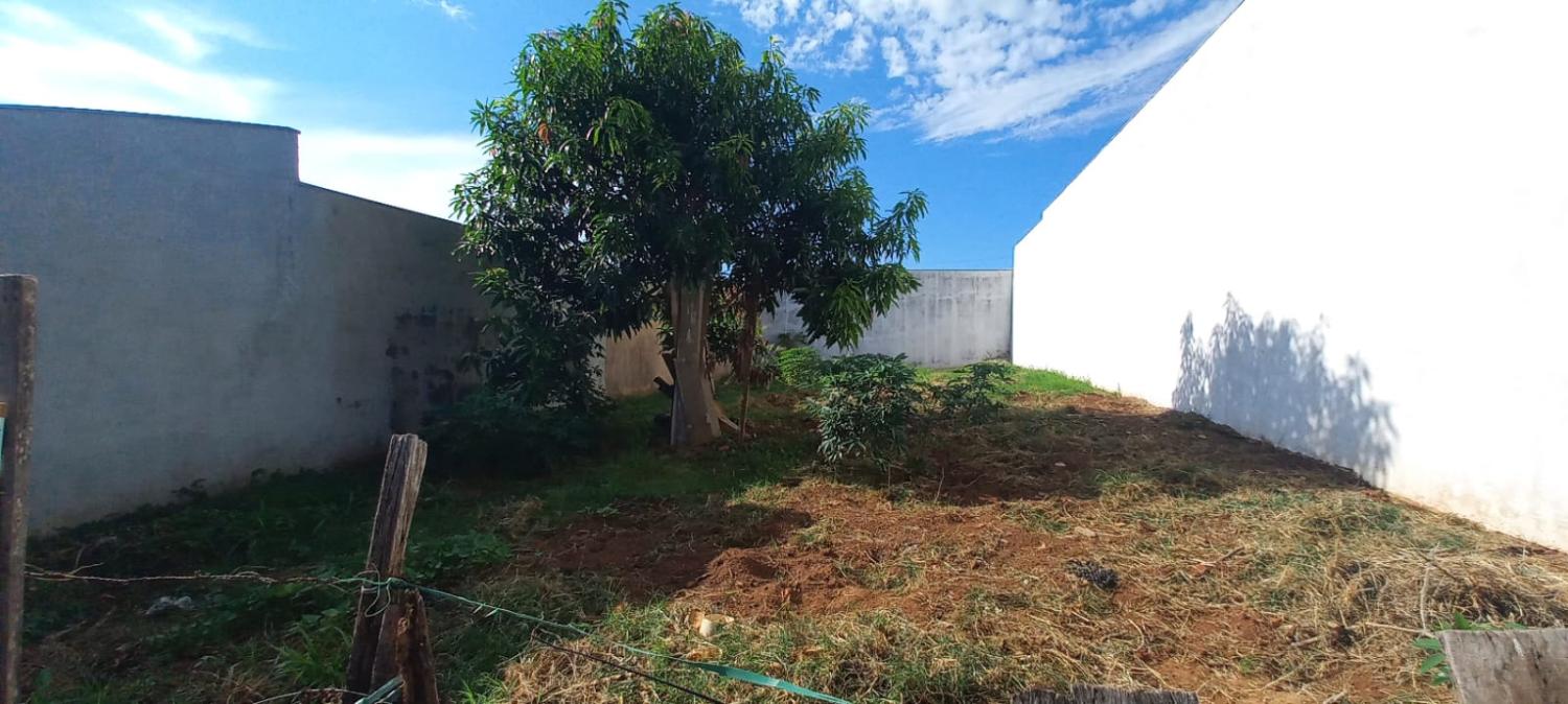 Terreno, 250 m² - Foto 1