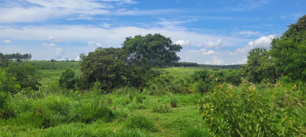 Chácara, 2 quartos, 7 hectares - Foto 9