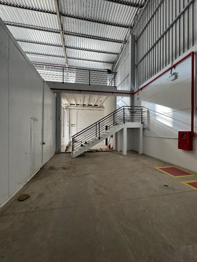 Depósito-Galpão - Foto 3