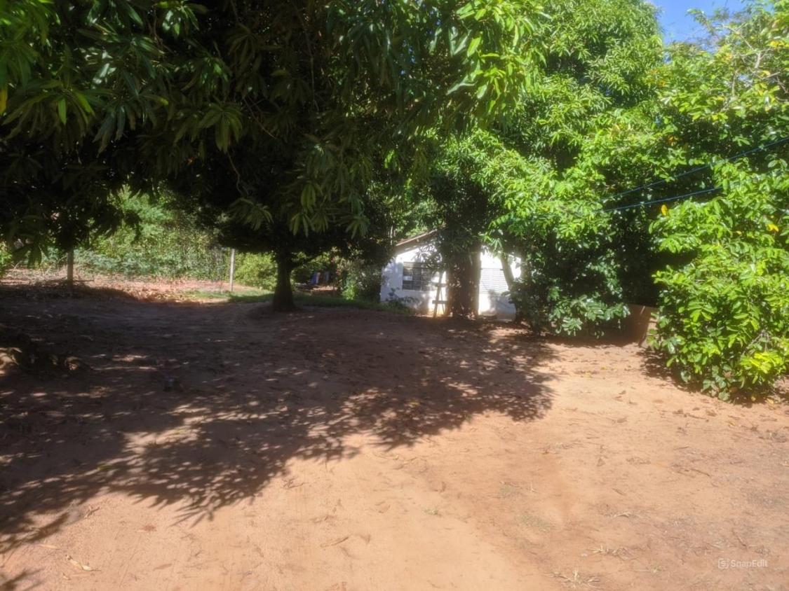 Chácara à venda com 2 quartos, 3870m² - Foto 1