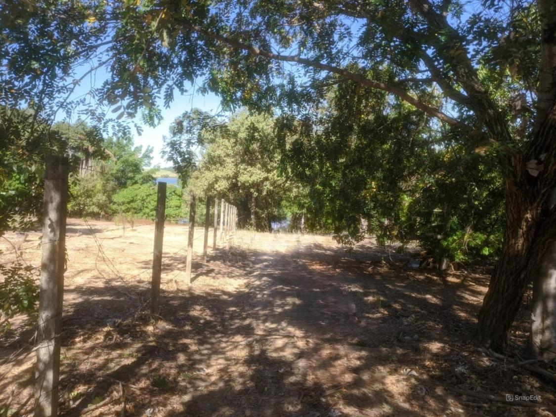Chácara à venda com 2 quartos, 3870m² - Foto 3