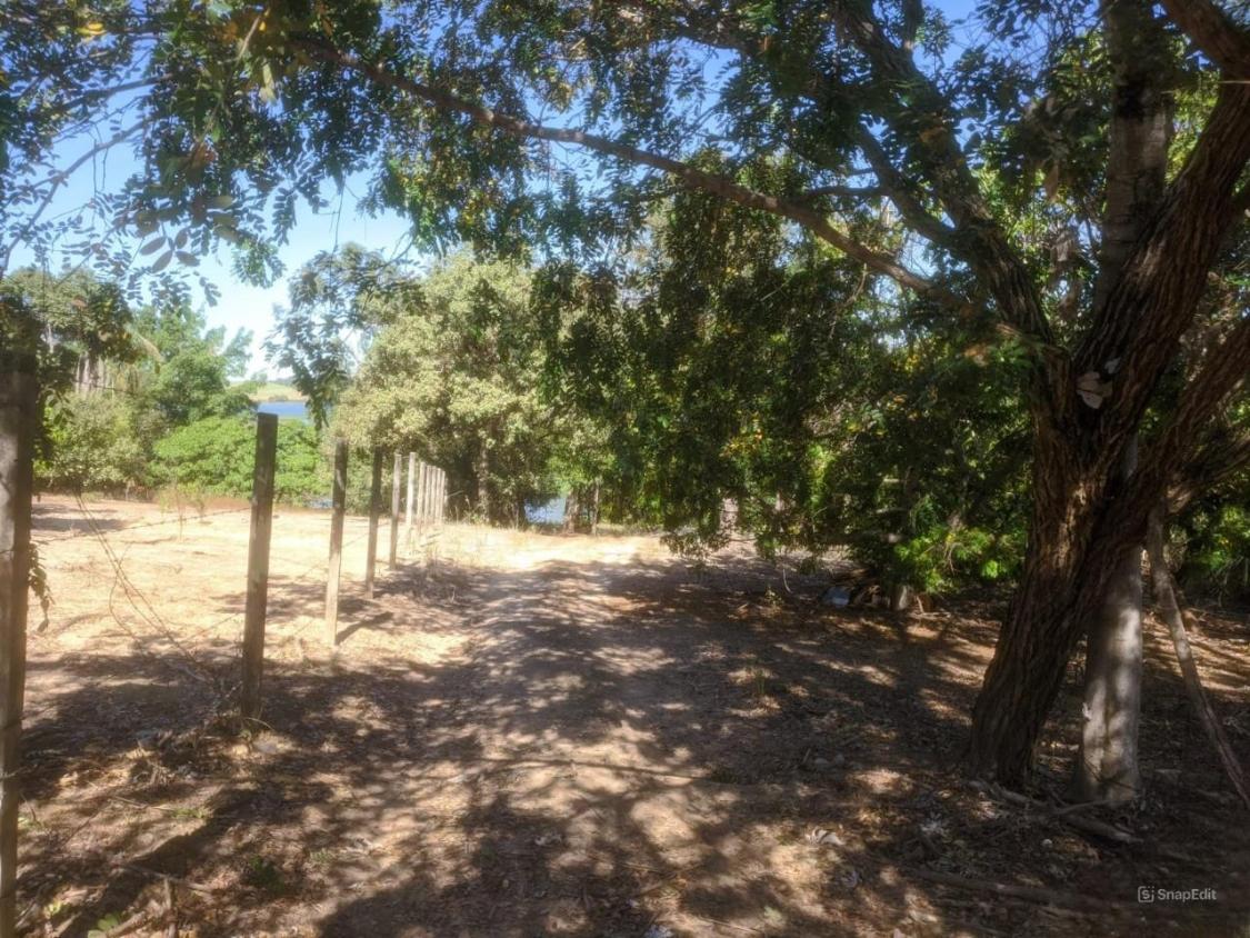 Chácara à venda com 2 quartos, 3870m² - Foto 4