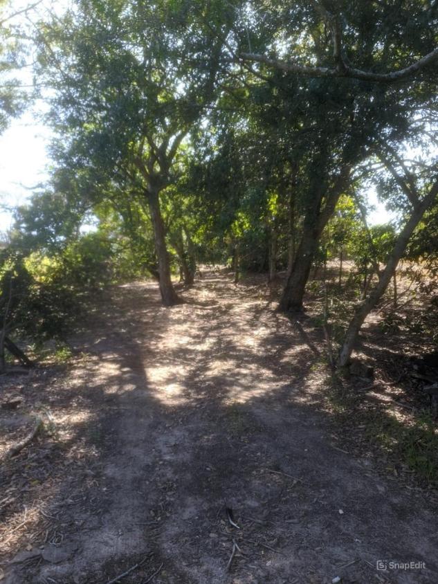 Chácara à venda com 2 quartos, 3870m² - Foto 5