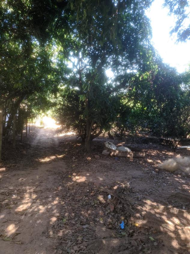 Chácara à venda com 2 quartos, 3870m² - Foto 8
