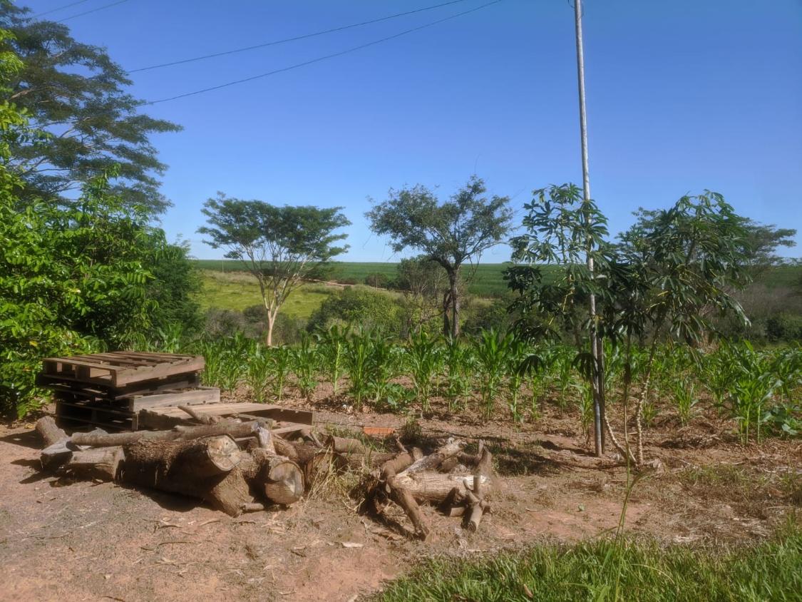 Chácara à venda com 2 quartos, 3870m² - Foto 13