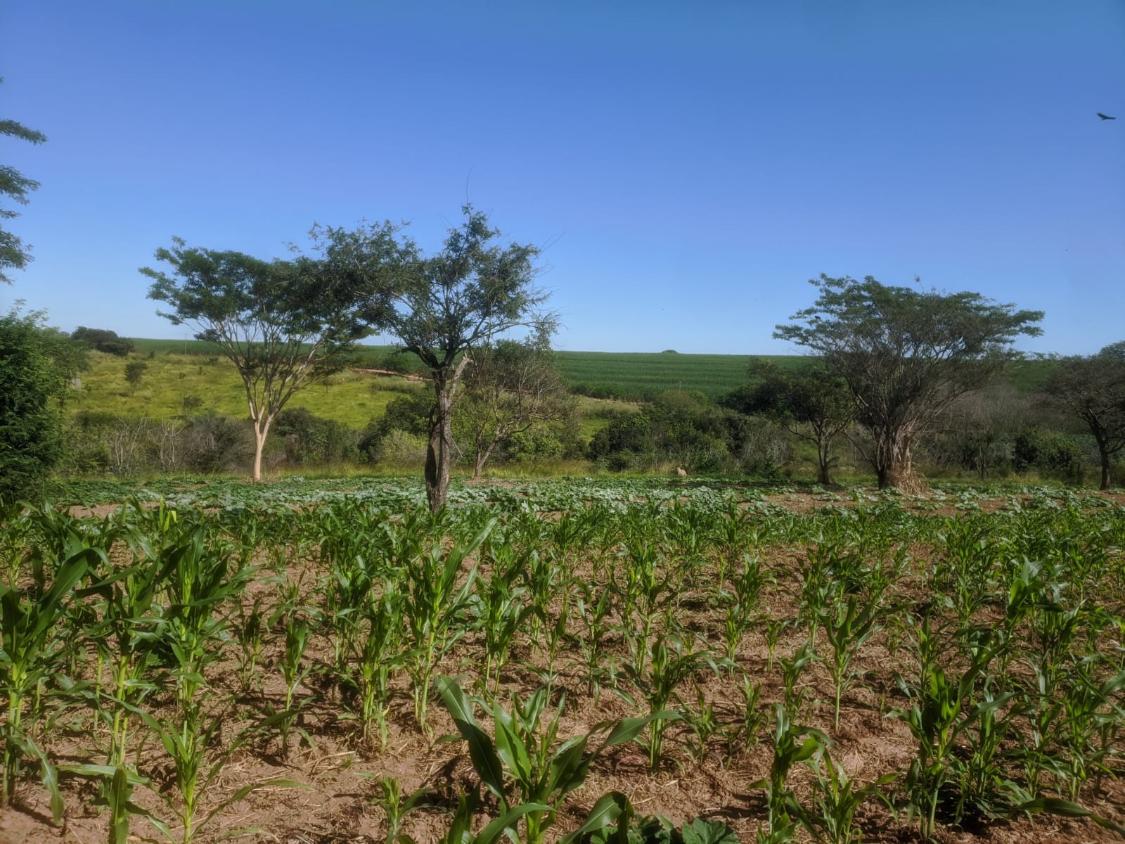 Chácara à venda com 2 quartos, 3870m² - Foto 14
