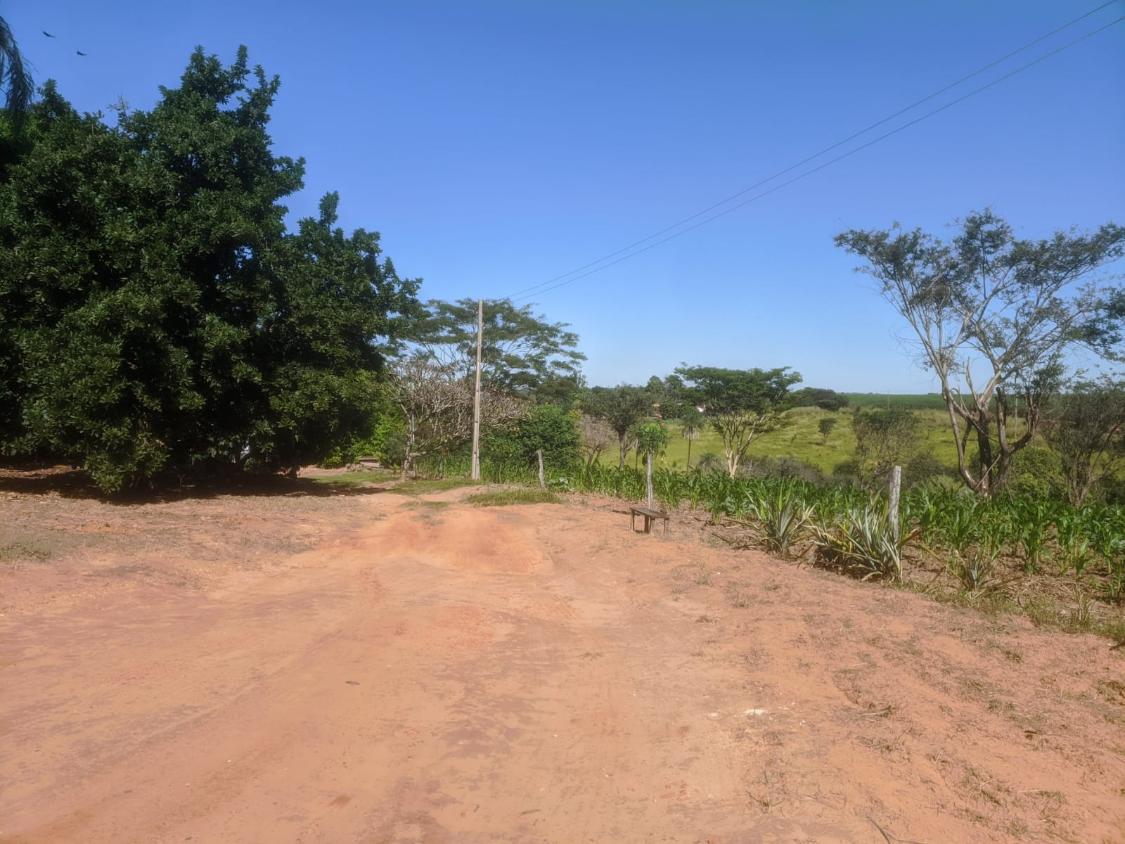 Chácara à venda com 2 quartos, 3870m² - Foto 15