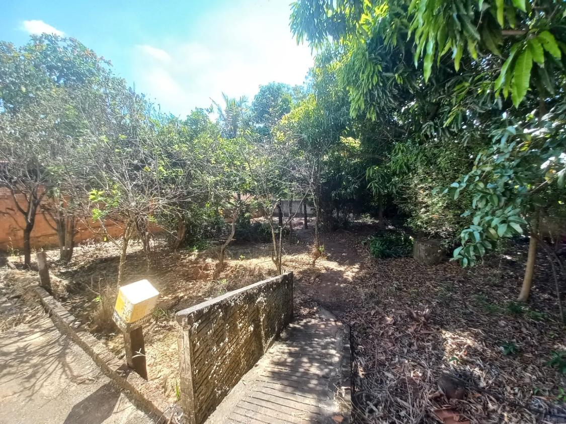 Depósito-Galpão - Foto 4