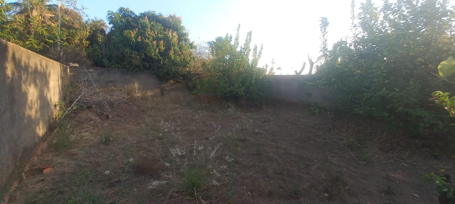 Casa, 4 quartos - Foto 2