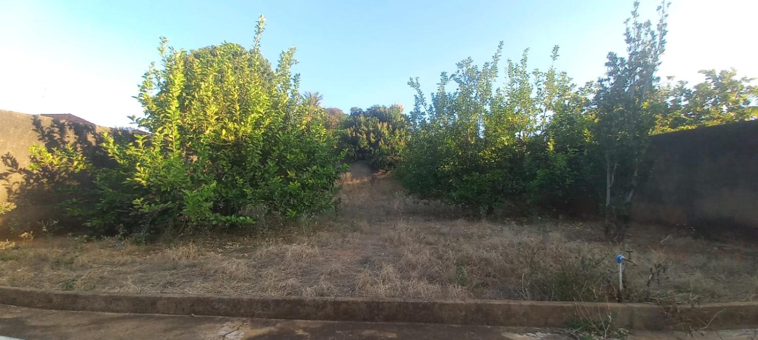 Casa, 4 quartos - Foto 6