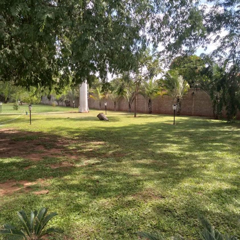 Chácara à venda com 3 quartos - Foto 6