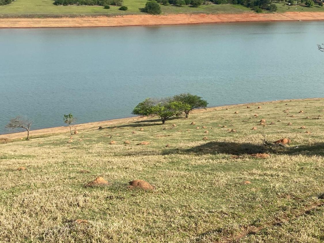 Terreno, 2 hectares - Foto 5