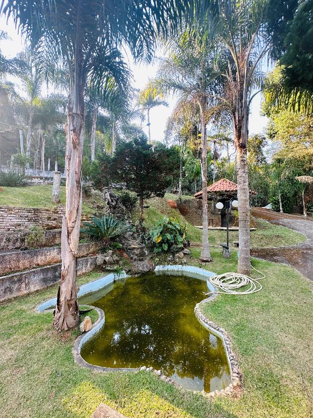 Chácara, 3 quartos, 3 hectares - Foto 5