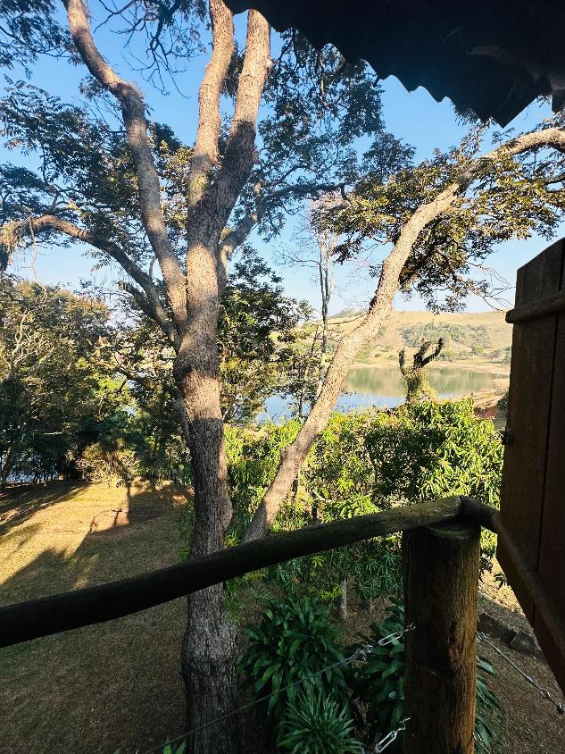 Chácara, 3 quartos, 3 hectares - Foto 9