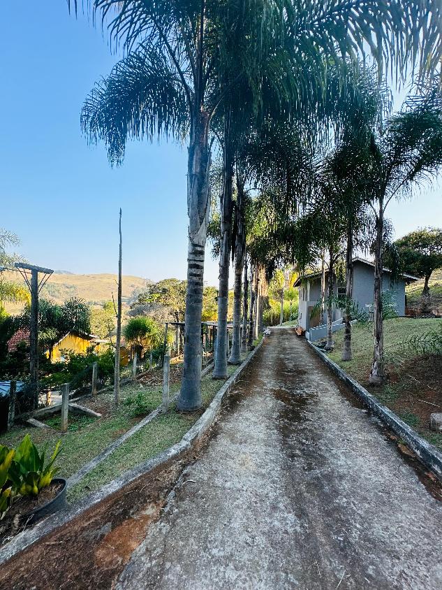 Chácara, 3 quartos, 3 hectares - Foto 14